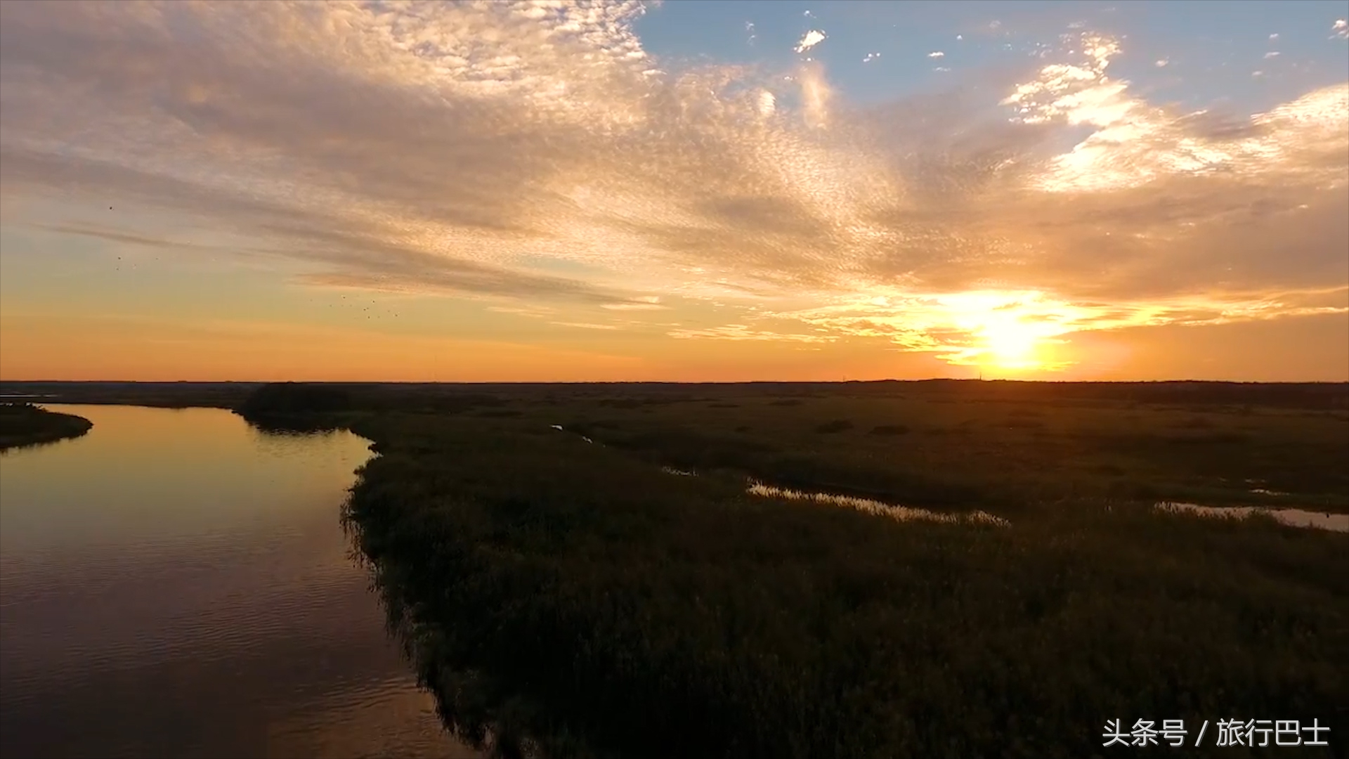 巨型短吻鳄有多高,世界最厉害的动物短吻鳄