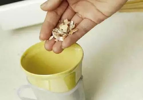 鸡蛋壳别扔掉,鸡蛋壳不要扔了太可惜了用来种菜