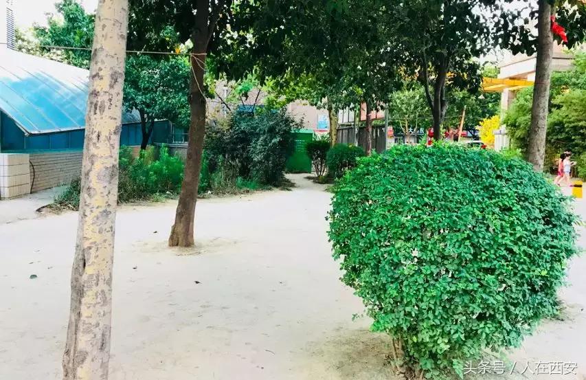 悦明园里的半条土路……