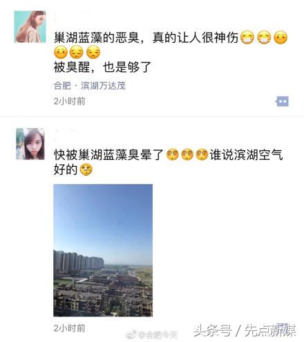 夏季巢湖西北岸蓝藻集中的原因,高温天气巢湖蓝藻爆发