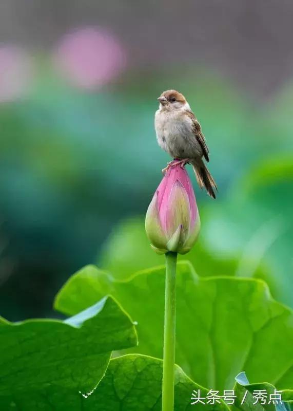 铜川清凉玩水的地方,铜川夏日美景