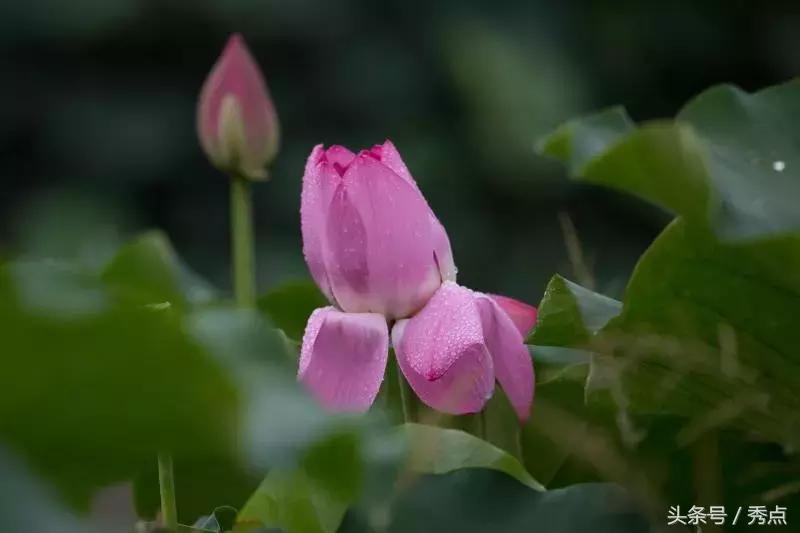 铜川清凉玩水的地方,铜川夏日美景