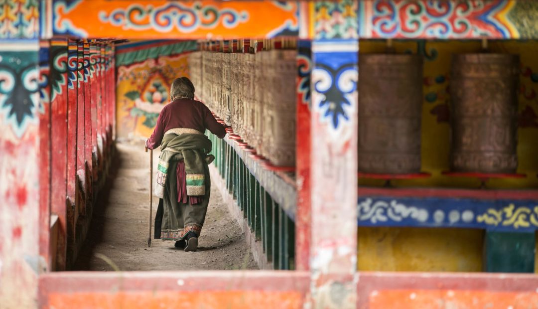 2018下半年如果你来，我会为你献上哈达，说上一句：扎西德勒