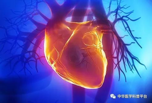 高血压停药的危害,高血压的危害视频