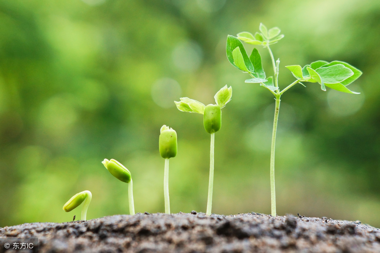 毛晓彤操作视频,毛晓彤教科书式锤渣男