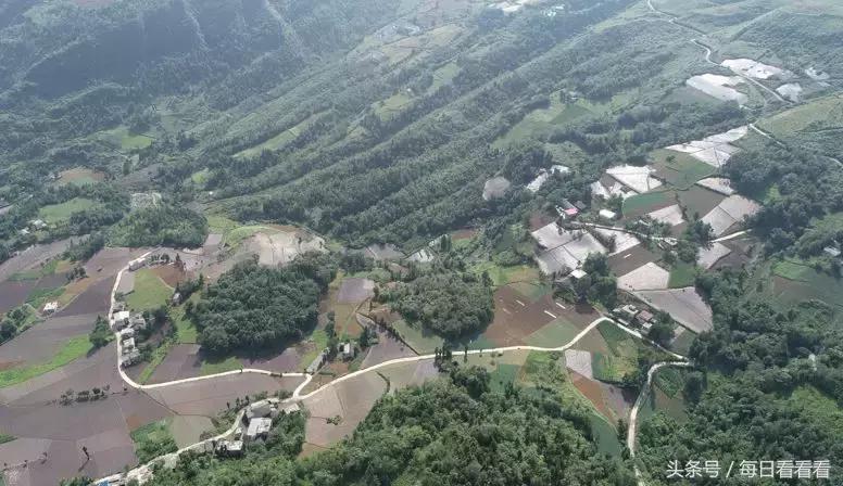 利川著名的油菜花田,利川花海在几月份