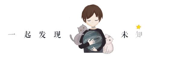 12星座的哪个头发最好看,12星座叶罗丽公主的头发