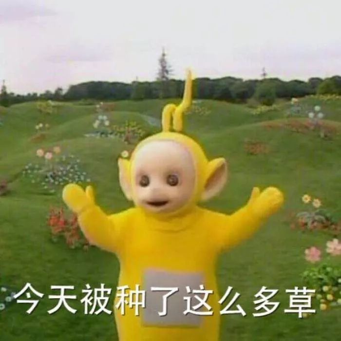 12星座的哪个头发最好看,12星座叶罗丽公主的头发