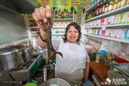 不可思议的重口味饮品：青蛙榨汁、蟑螂制奶？