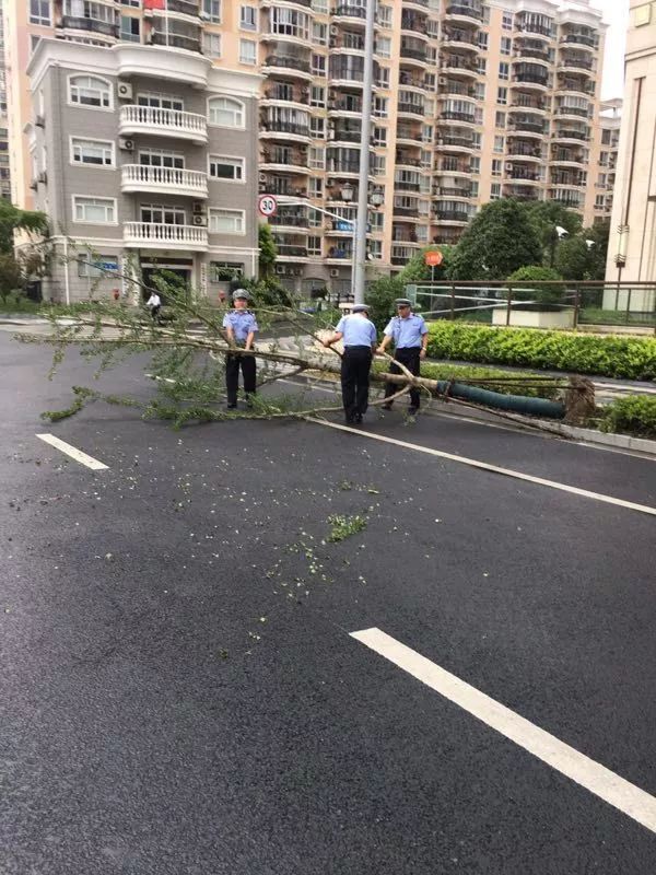 面对台风我们严阵以待,迎战台风交警巡逻