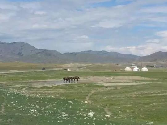 大众探探试驾视频,探歌探岳探享试驾体验