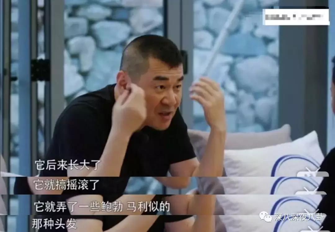 蒋勤勤经历过的事,蒋勤勤查案