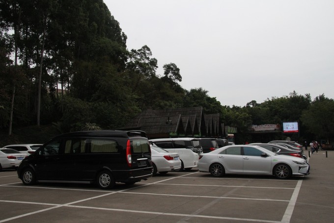 广州旅游亲子游三天两夜,广州两天一夜亲子游