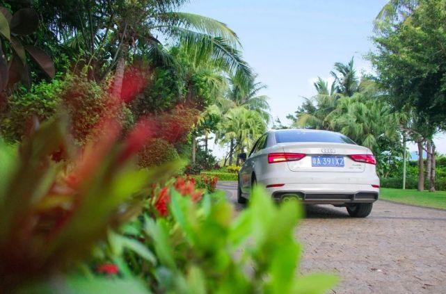 开着奥迪自驾的小姐姐,开着百万奥迪的小姐姐