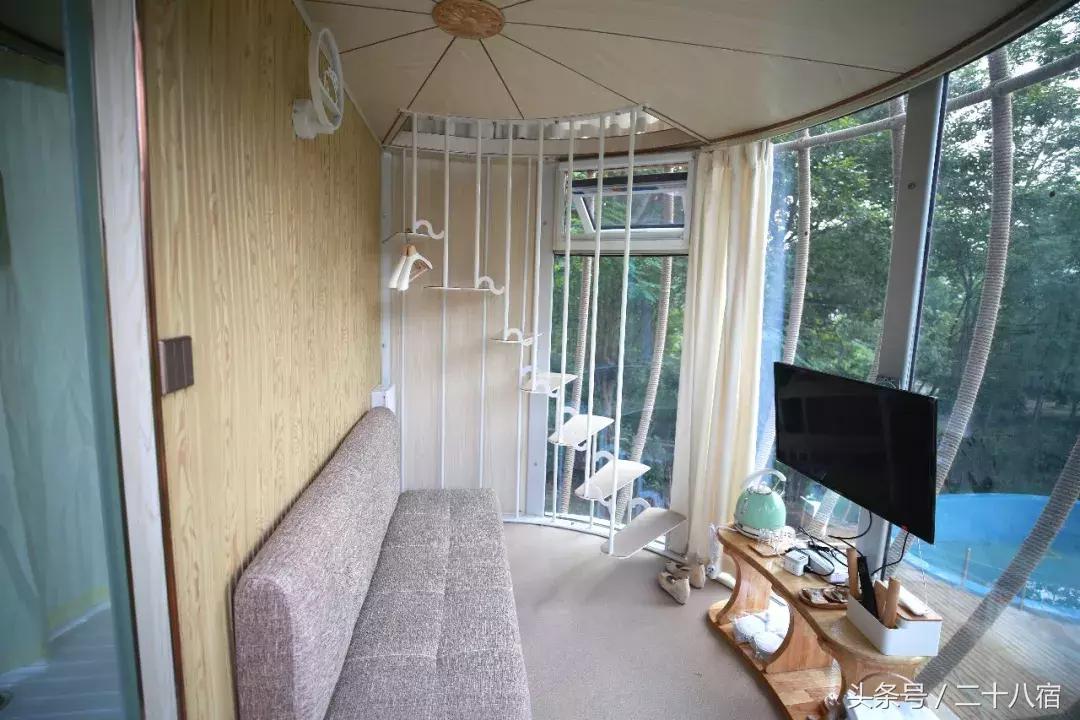 她在南京,南京谷里熏衣草庄园最佳观赏期