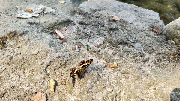 高冠瀑布风景,高冠瀑布游记