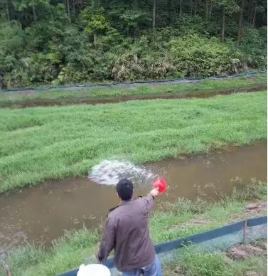 小龙虾进笼方法,小龙虾进塘之前用什么药浸泡为好