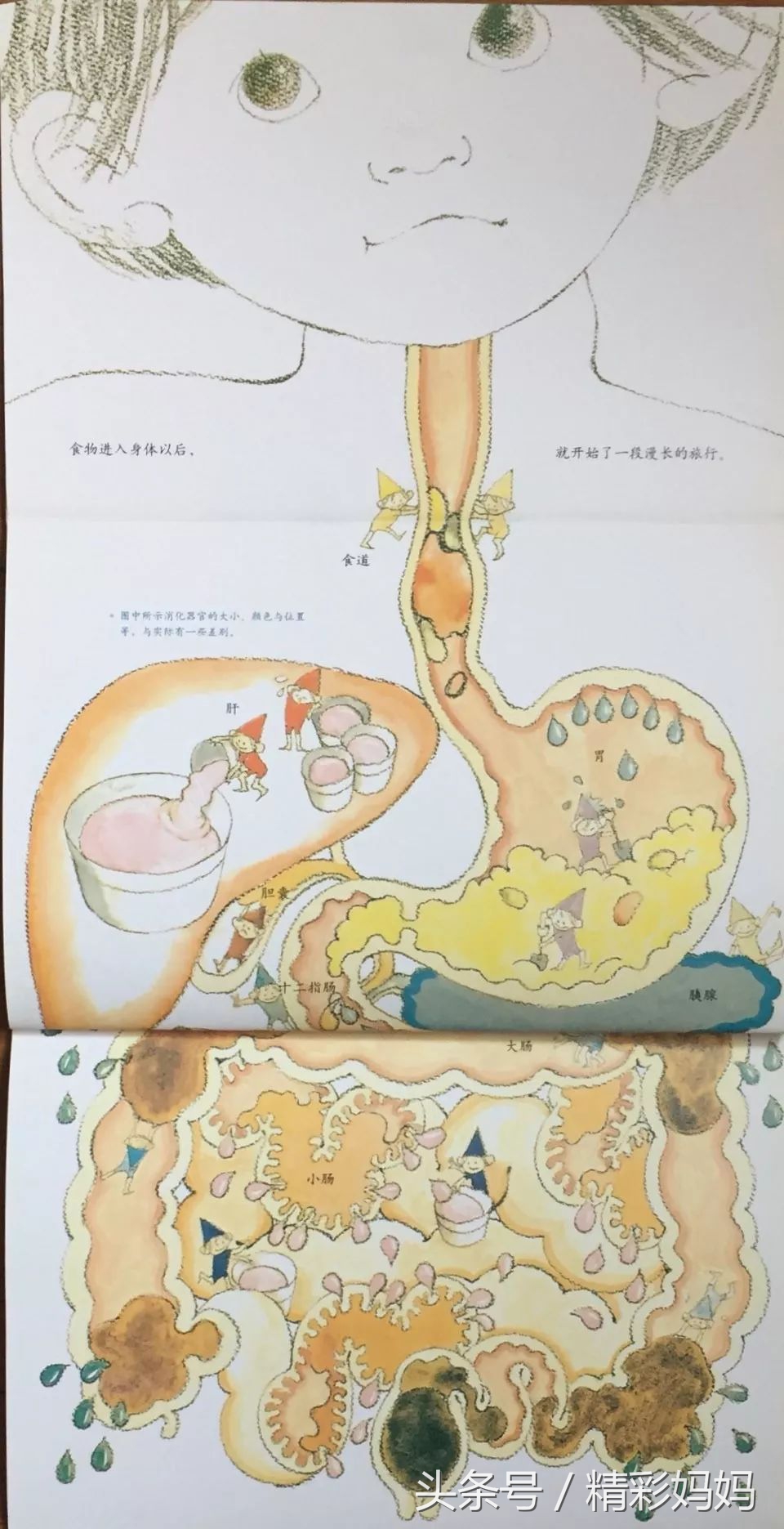 宝宝不把屎把尿大了怎么训练,不把屎把尿应该怎样做