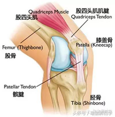 平时膝盖疼怎么回事,平时膝盖酸痛怎么缓解