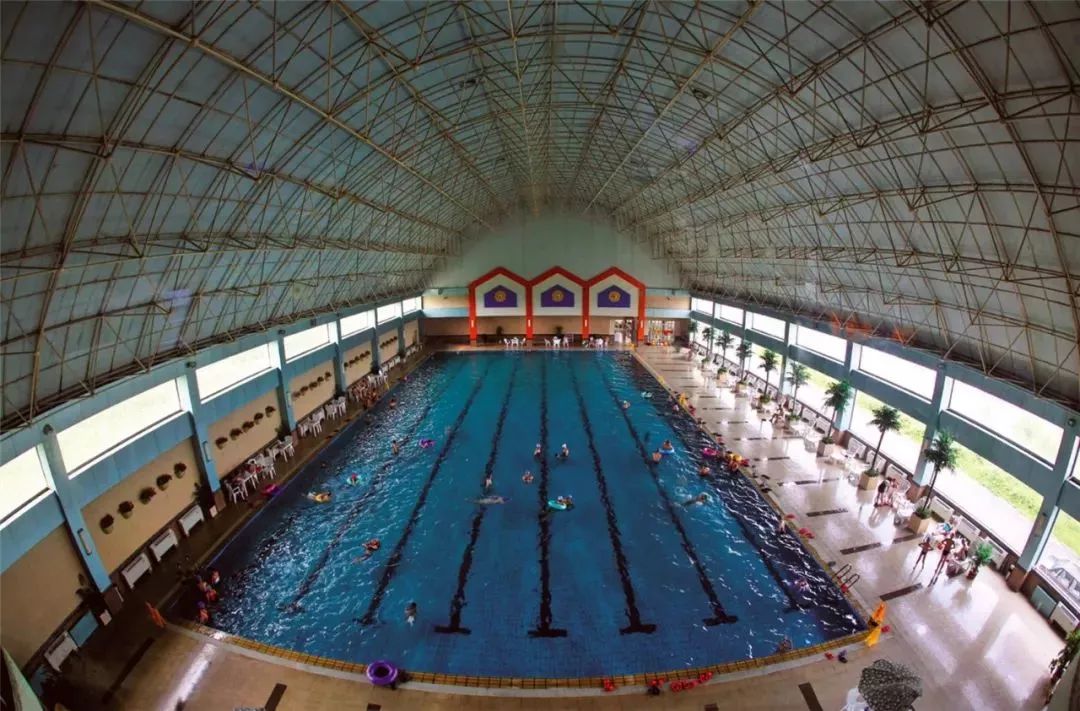 游泳有什么好玩的,游泳的好处锻炼胆量