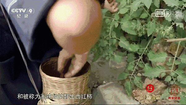 最正宗的凯里酸汤火锅,凯里酸汤牛肉火锅