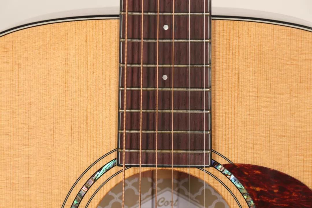 众测新琴第10期：考特cort·型号GoldO6