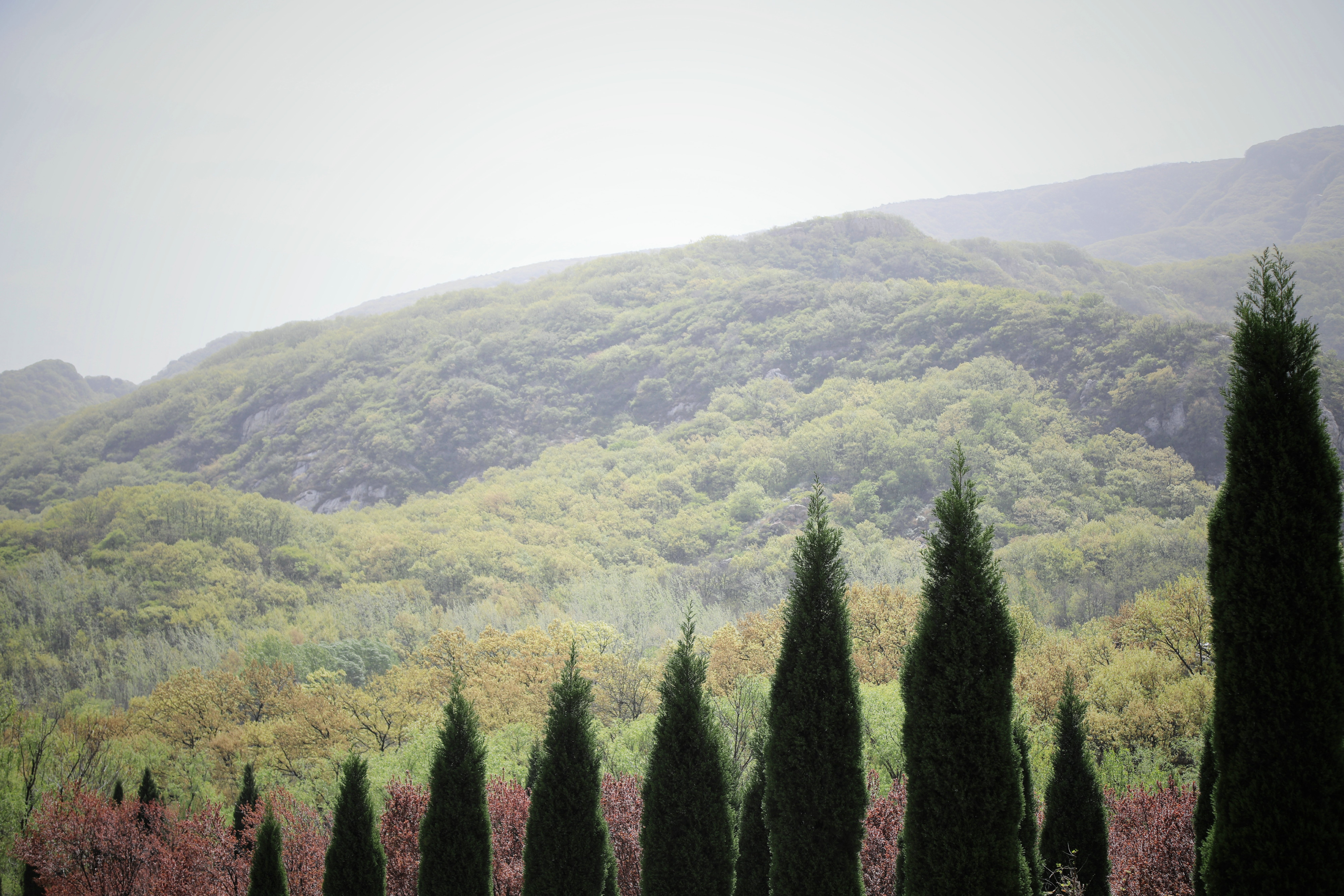 哪些地方有塔林,什么是塔林