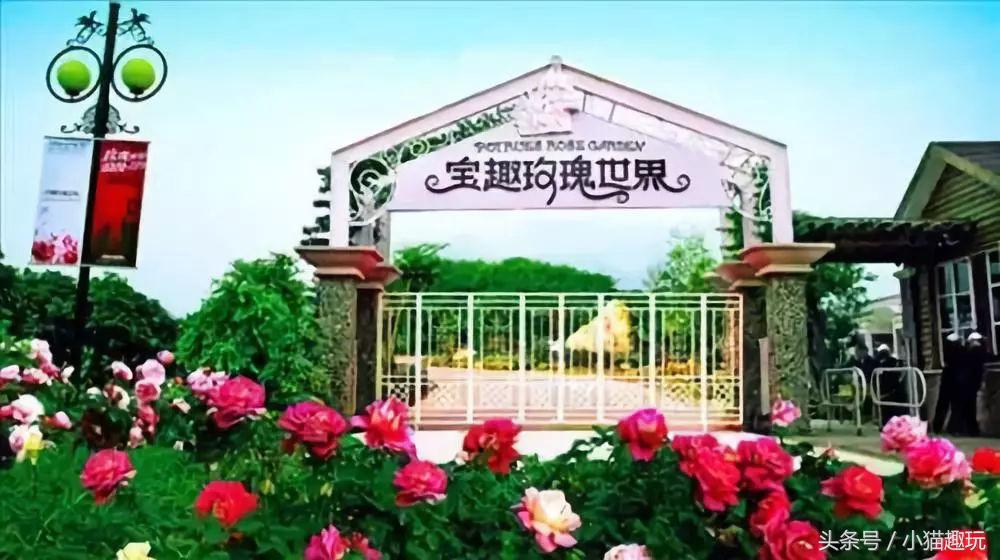 半山旅游酒店,半山温泉酒店预订