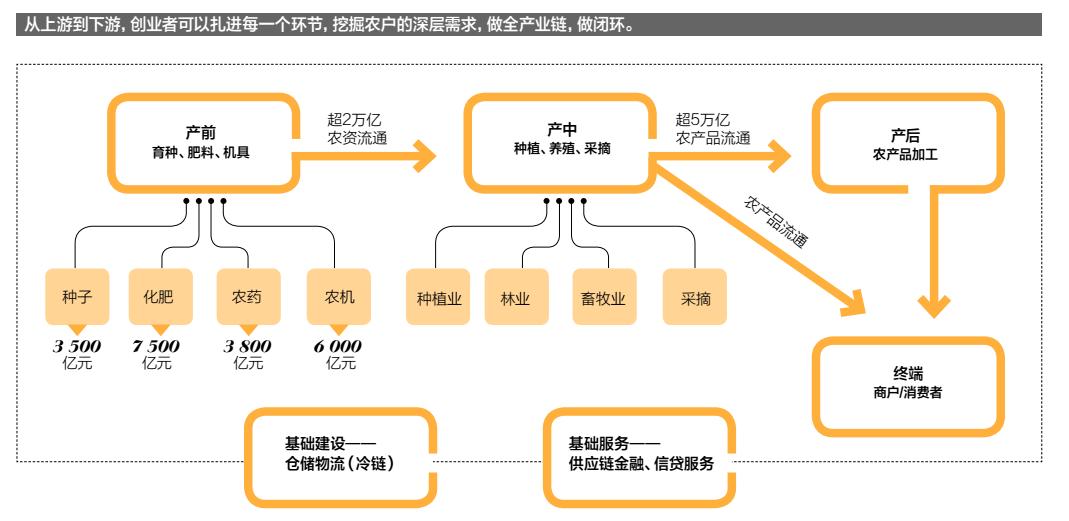 柑橘丰收最快方法,天天学农钟善东柑橘修剪理论