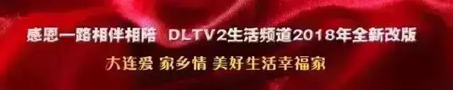 大连人的“宠物伤”越来越多元，如何应对医生支招