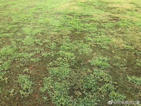 2018预备队联赛申花vs建业,建业申花实时比分