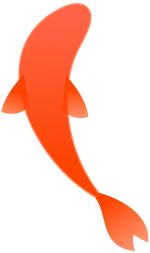 夏日的荷花唯美原创诗句,荷花的诗词经典赏析