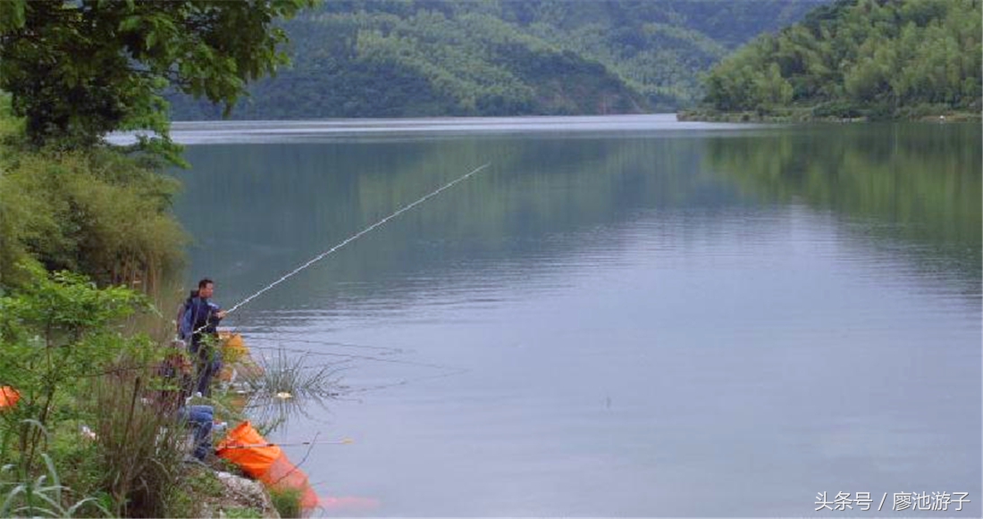 单钩通线钓鲫鱼怎么调漂,单钩挂蚯蚓调漂最佳方法