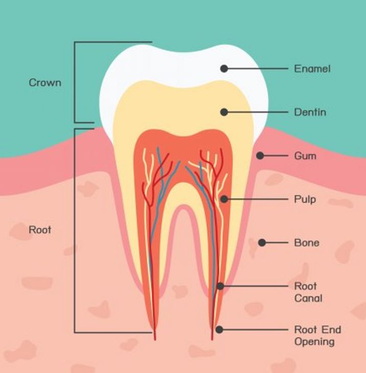 口红色号怎么选择适合的颜色,口红色号怎么选看你适合哪个颜色