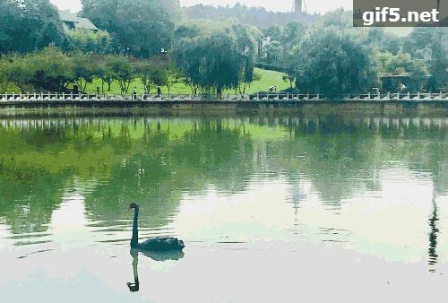 带你探寻最美赛道,名不虚传路演