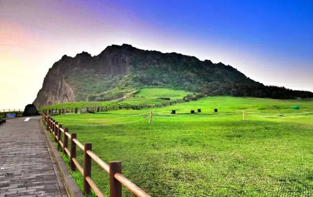 济州柑橘马拉松,济州岛柑橘马拉松