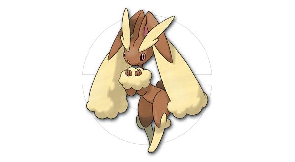 都有哪些宠物小精灵,十大最火的宠物小精灵