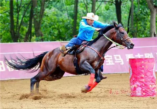 七夕节青岛啤酒活动,七夕啤酒节