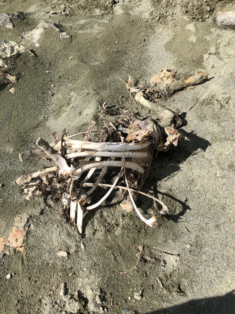 LOWA换军胶,任性博格达——记我跌宕起伏的博格达大环