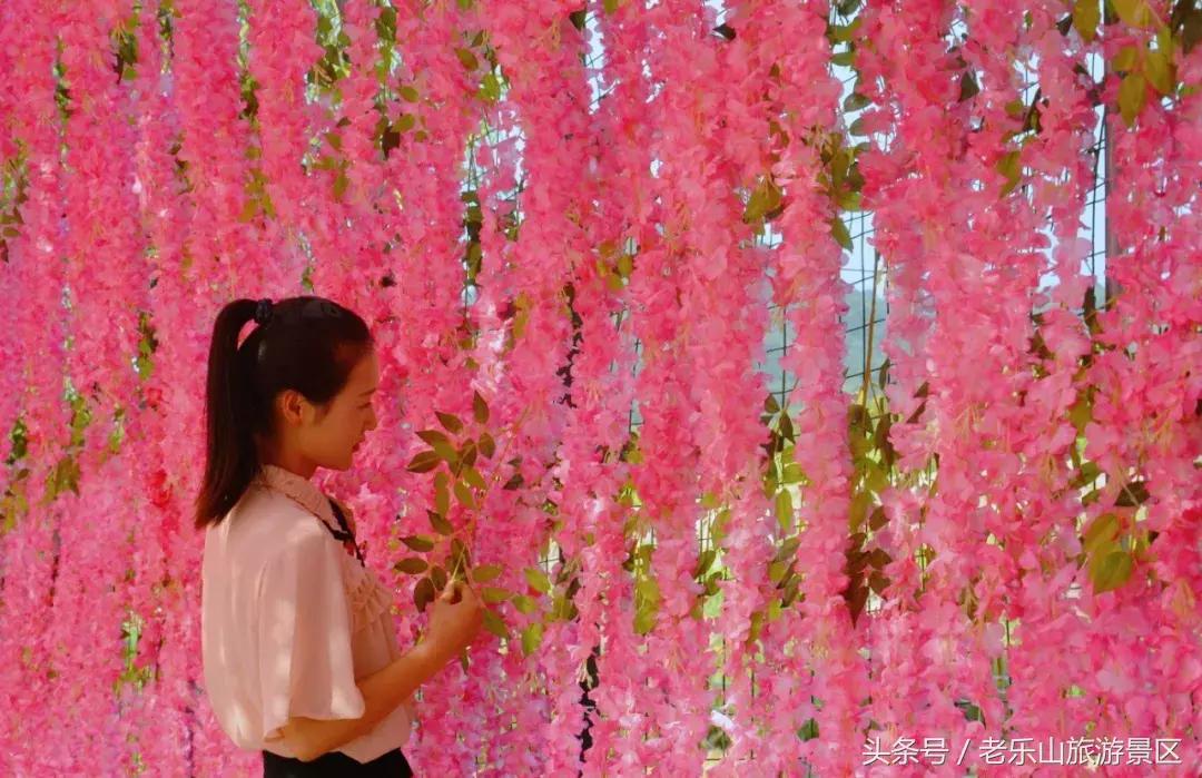 又双叒叕来搞事，解锁“网红”打卡新姿势，老乐山网红走廊等你来