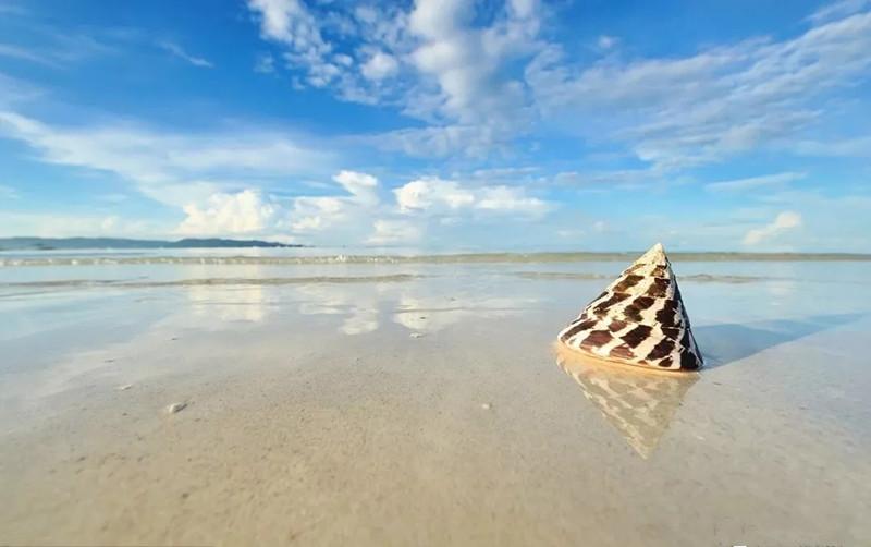 乘飞机托运的行李丢了怎么办,乘飞机行李丢失怎么办理