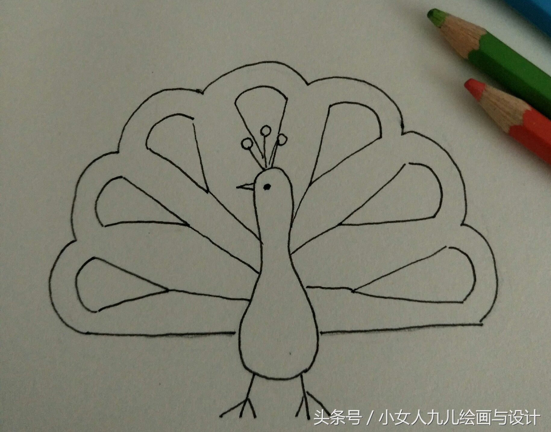 如何用手画孔雀简笔画,简笔画孔雀十二种画法