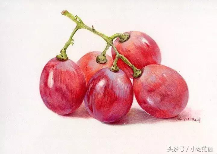 彩铅素描都是用的哪种彩铅,零基础学彩铅要先学会素描吗