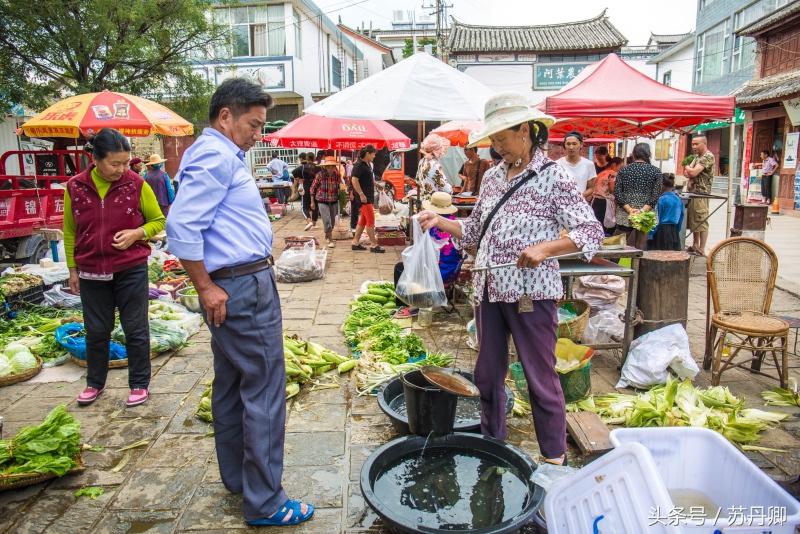 洱海治理周边民宿污染,洱海治污计划腾退部分客栈