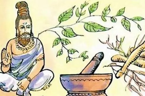 精油治病是什么原理,现在的精油真的能治病吗