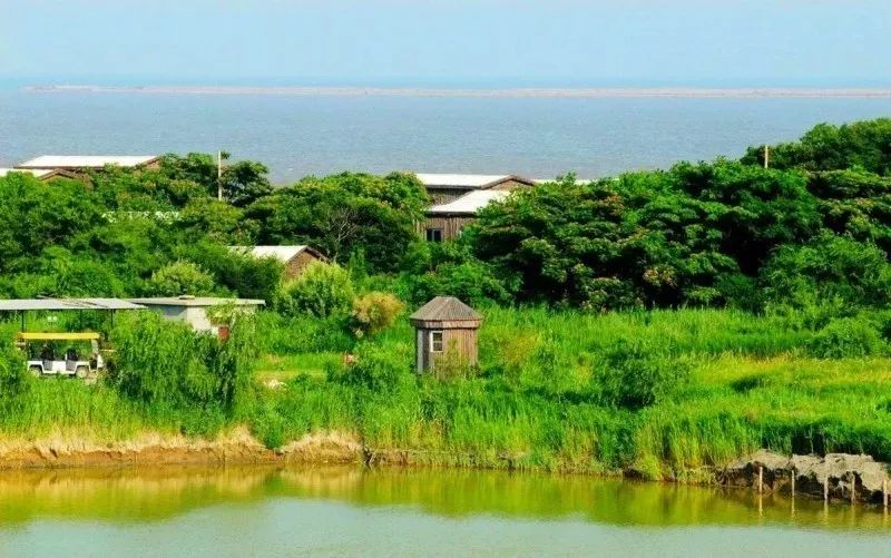 马尔代夫的蓝天绿树水清沙白,北京周边绝美海滩