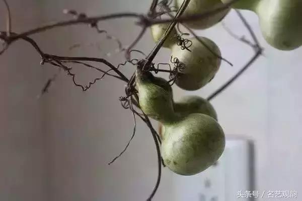 中式书房好物,书房中式装修