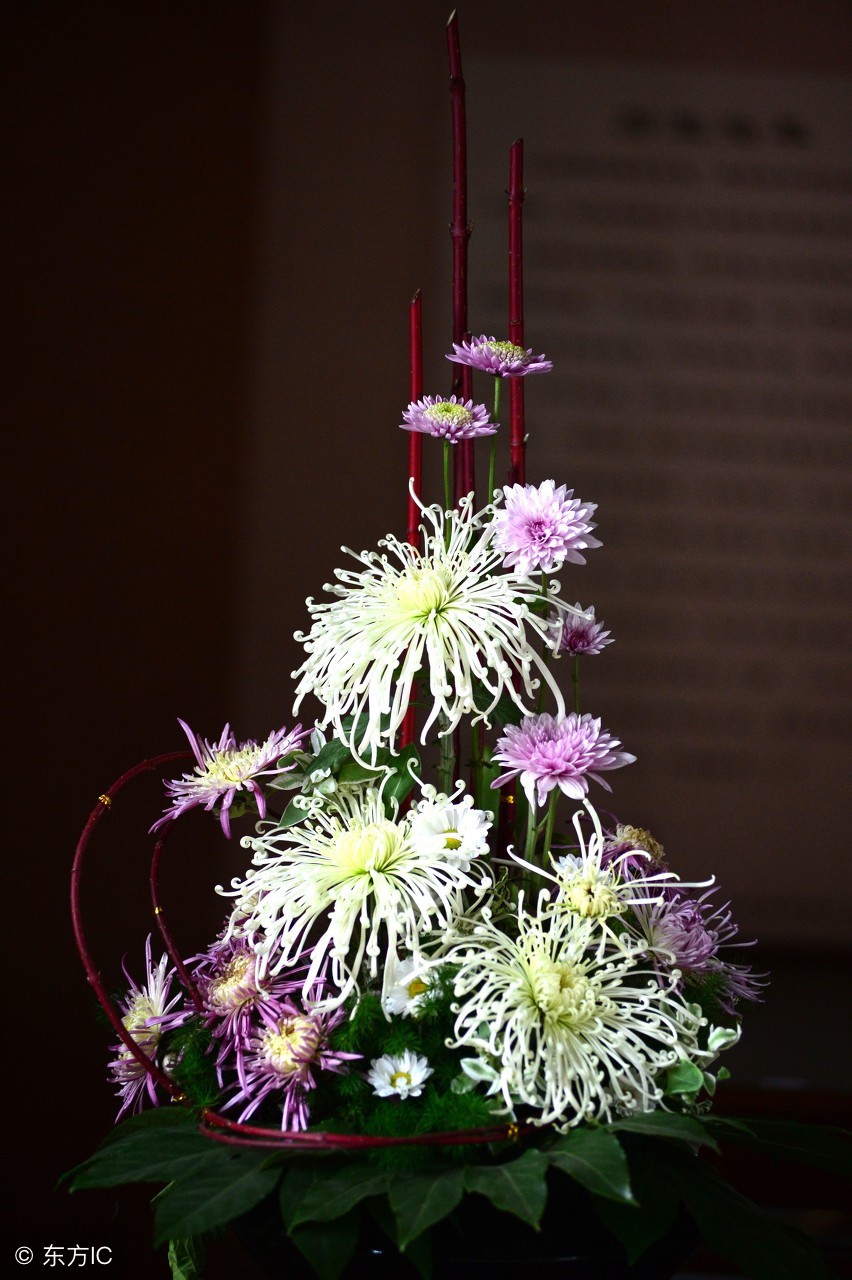 绝美优雅的盆景欣赏（太漂亮了，快分享给朋友吧！）