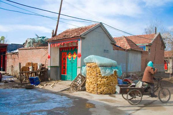 农村房子门对门必伤人是什么意思,门对门必伤人门对窗人遭殃