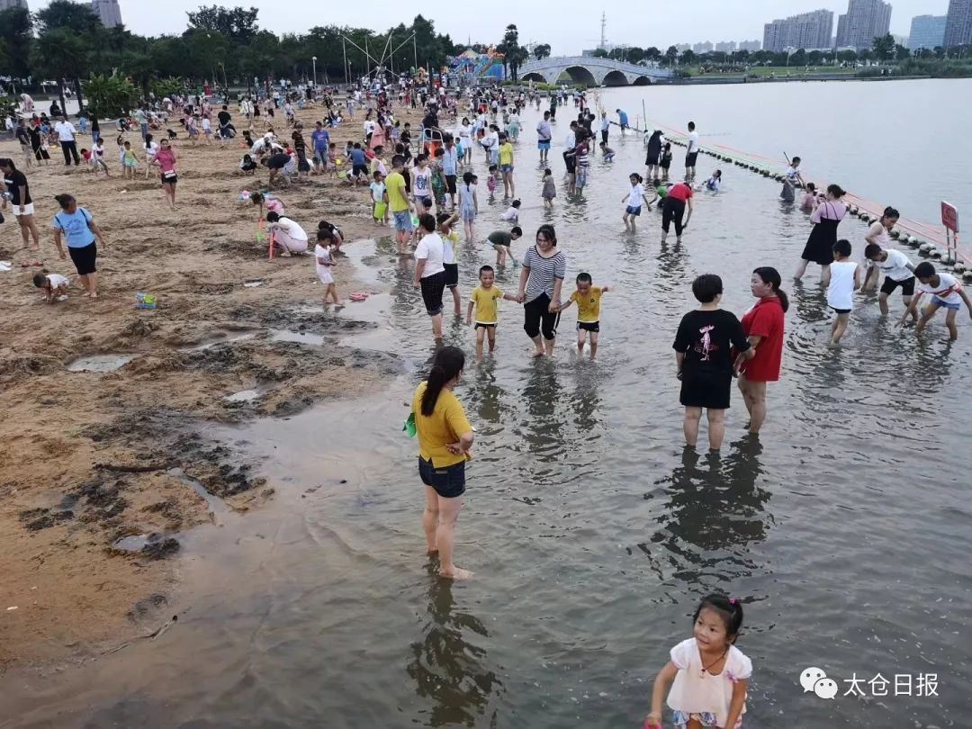 未来三年，太仓生态环境怎样变得更好？这里有答案~